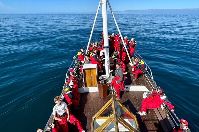 Húsavík Whale Watching Tour, family owned and operated - Puffins and seabirds from May to mid-August