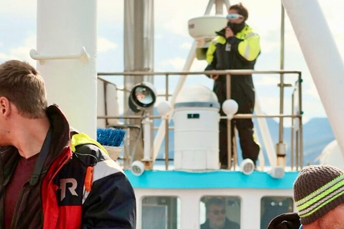 Húsavík Whale Watching Tour, family owned and operated - The guide makes the difference
