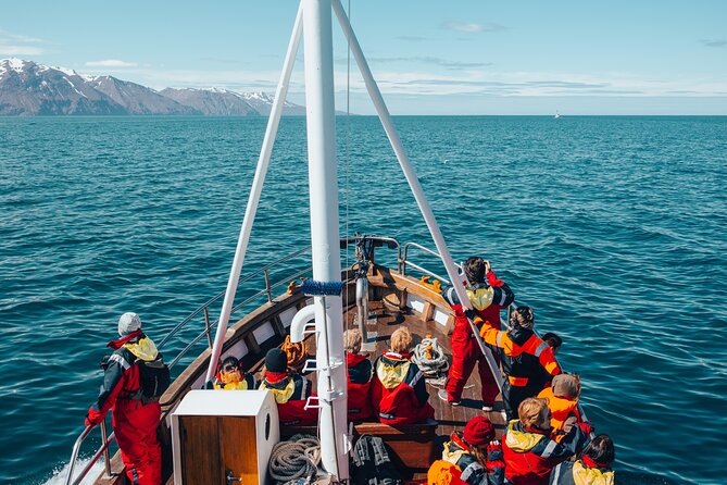 Húsavík Whale Watching Tour, family owned and operated - Heading west toward Kinnarfjöll