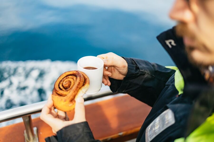 Húsavík: Whale Watching Tour with Guide - Searching Skjálfandi Bay for whales