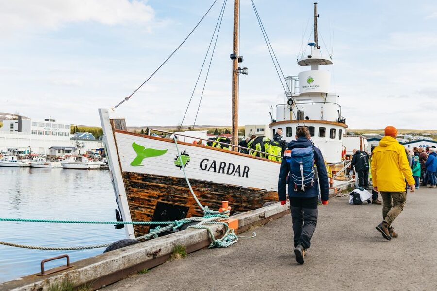 Húsavík: Whale Watching Tour with Guide - Beyond whales: dolphins, puffins, and seabirds