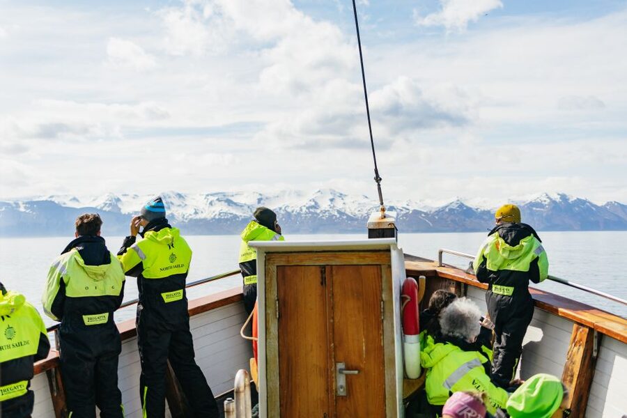 Húsavík: Whale Watching Tour with Guide - Warm overalls, hot chocolate, and the ride home