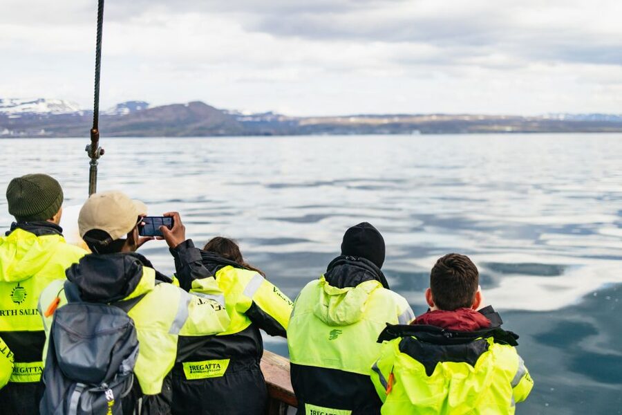 Húsavík: Whale Watching Tour with Guide - Is $115 a fair price?