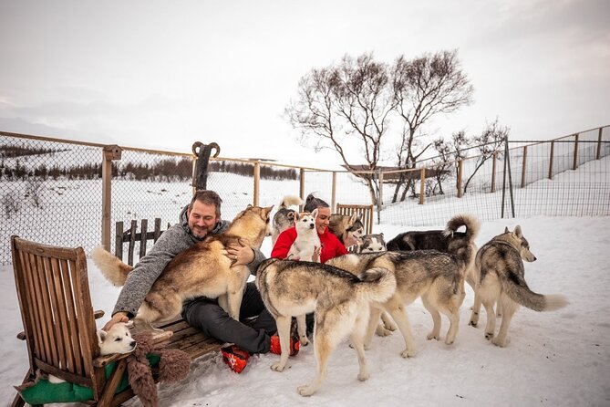 Husky Petting in Akureyri (private) - Key points about the Akureyri husky visit