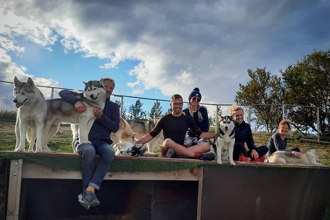 Husky Petting in Akureyri (private) - What your one-hour visit is like