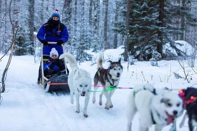Husky safari - What the two-hour visit actually includes