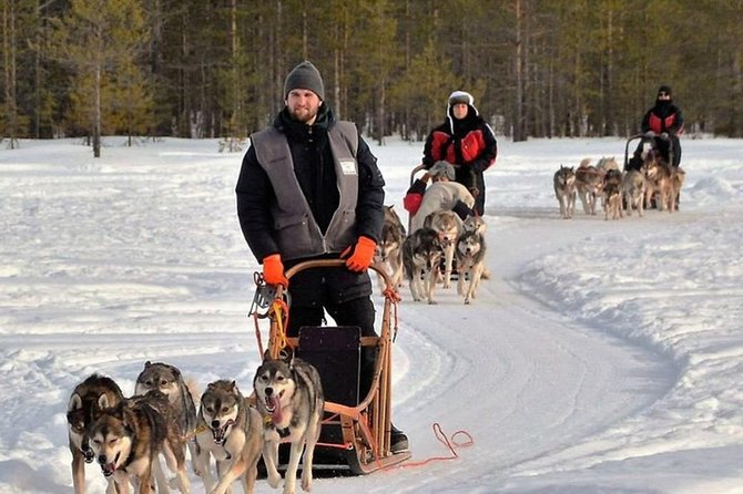 Husky Safari from Levi 2 KM or 5 KM with Husky Sledge Ride - The price and what you receive for it