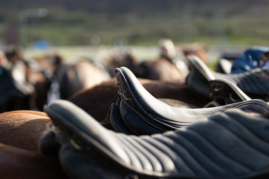 Hveragerdi: Countryside Charm Horse Riding Tour - One hour through Ölfus meadows