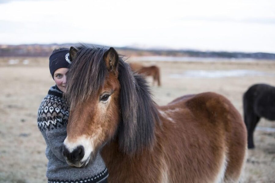 Hveragerdi: Countryside Charm Horse Riding Tour - Is $96 fair for a one-hour ride?
