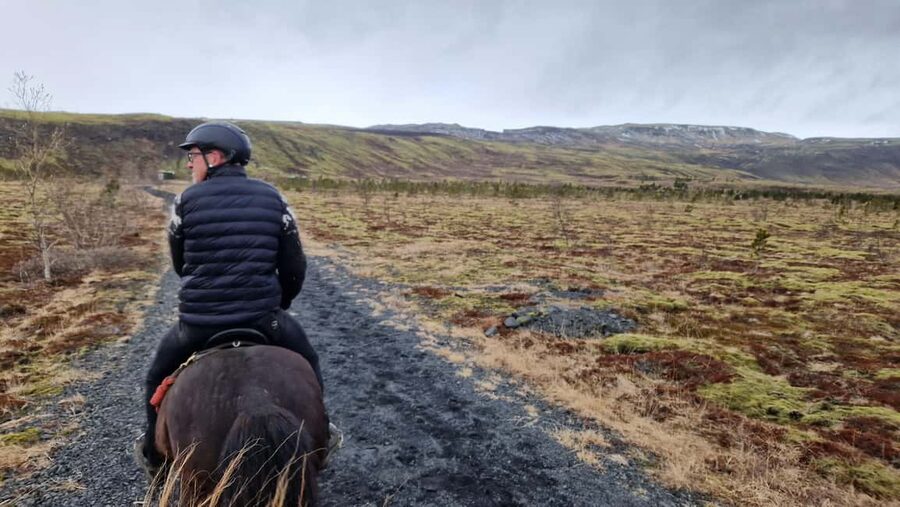 Hveragerði: Horseback Riding Tour for Beginners and … - Meeting the Icelandic Horse
