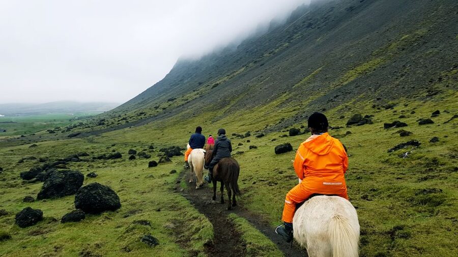 Hveragerdi: Reykjadalur (Hotspring Valley) Horse Riding Tour - Meeting the horses in Hveragerdi