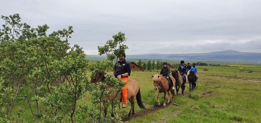 Hveragerdi: Reykjadalur (Hotspring Valley) Horse Riding Tour - The Icelandic tölt, and when you may get a faster ride