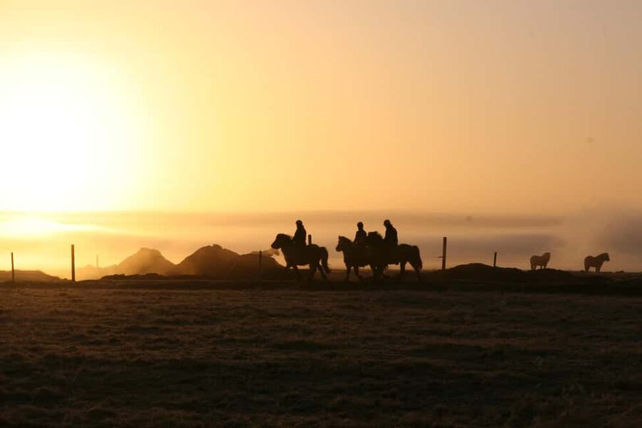Hveragerdi: The Siggi Horse Riding Tour - Key points about the Ölfus riding route