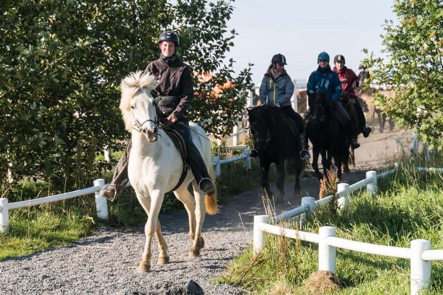 Hveragerdi: The Siggi Horse Riding Tour - Crossing the Varmá River and entering the countryside