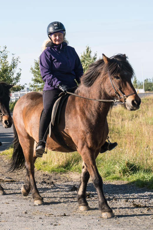 Hveragerdi: The Siggi Horse Riding Tour - Meadows, farms, and volcanic mountain views