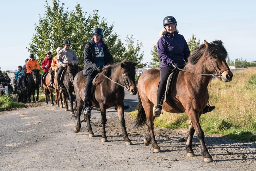Hveragerdi: The Siggi Horse Riding Tour - How the $132 price compares in practical terms