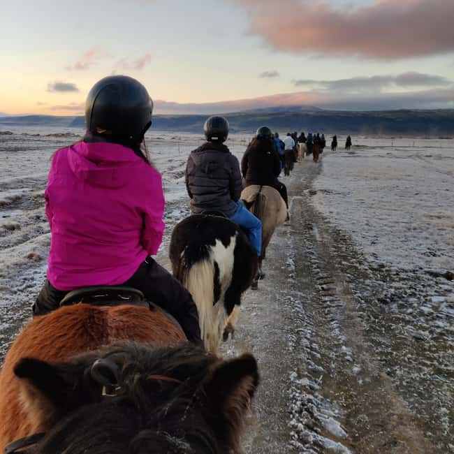 Hveragerdi: The Siggi Horse Riding Tour - Timing your day around the 8:00 and 13:00 departures