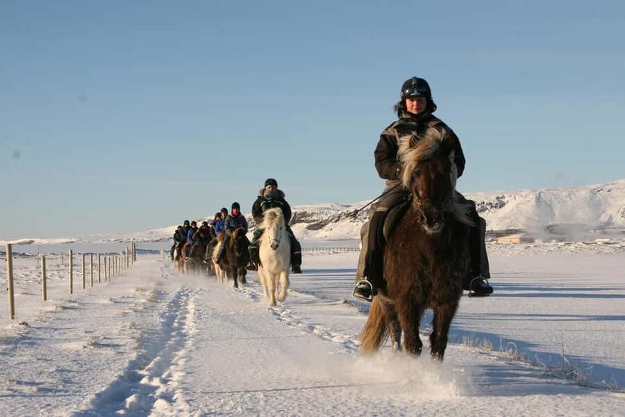 Hveragerdi: The Siggi Horse Riding Tour - The strongest reason to go
