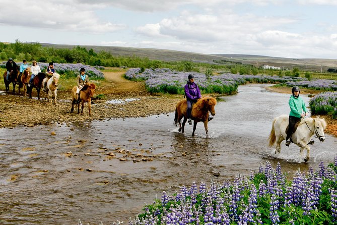 Icelandic Horseback Riding Tour Including Pick Up from Reykjavik - Riding through streams, lava fields, and mountain views
