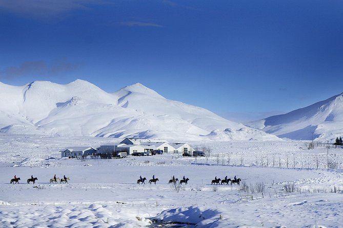 Icelandic Horseback Riding Tour Including Pick Up from Reykjavik - What the guides do, and what they do not do