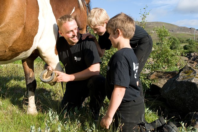 Icelandic Horseback Riding Tour Including Pick Up from Reykjavik - The three-and-a-half-hour time commitment