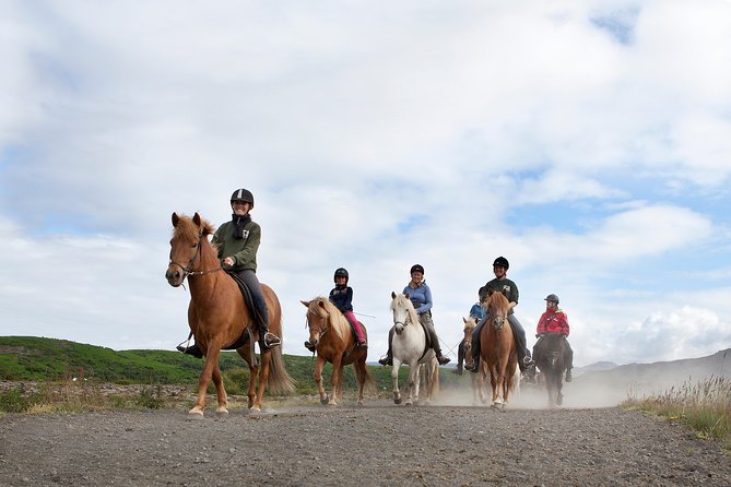 Icelandic Horseback Riding Tour with Pickup Option from Reykjavik - Why This Ride Feels Different from a Standard Trail Outing