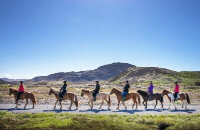 Icelandic Horseback Riding Tour with Pickup Option from Reykjavik