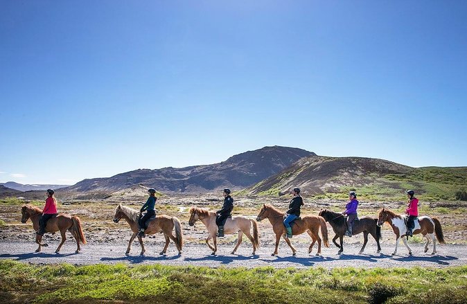 Icelandic Horseback Riding Tour with Pickup Option from Reykjavik - Starting at Ishestar’s Stables in Hafnarfjörður