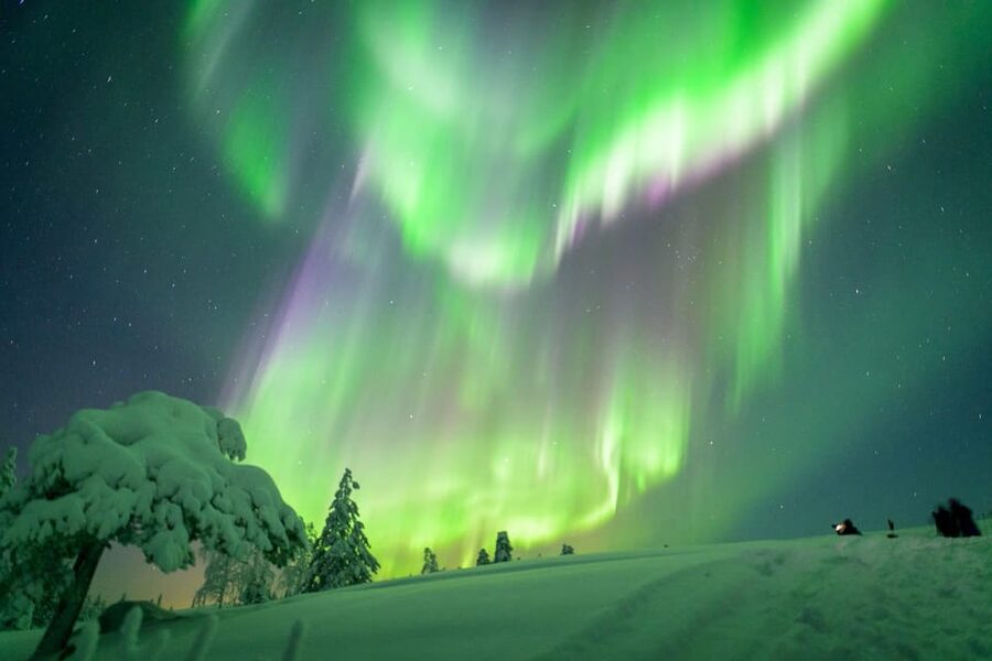 Inari: Northern Lights Hunt Snowmobile Safari - Key points at a glance