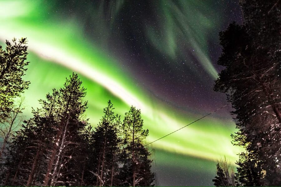 Inari: Northern Lights Hunt Snowmobile Safari - Who should book this Inari night ride?