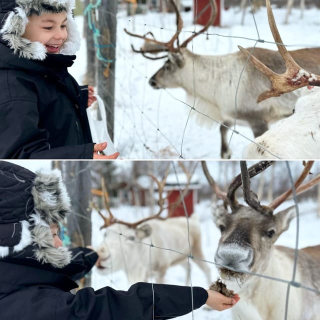 Ivalo: Ice Fishing Tour to Lake Inari, Reindeers & Lunch - Who will enjoy this four-hour outing