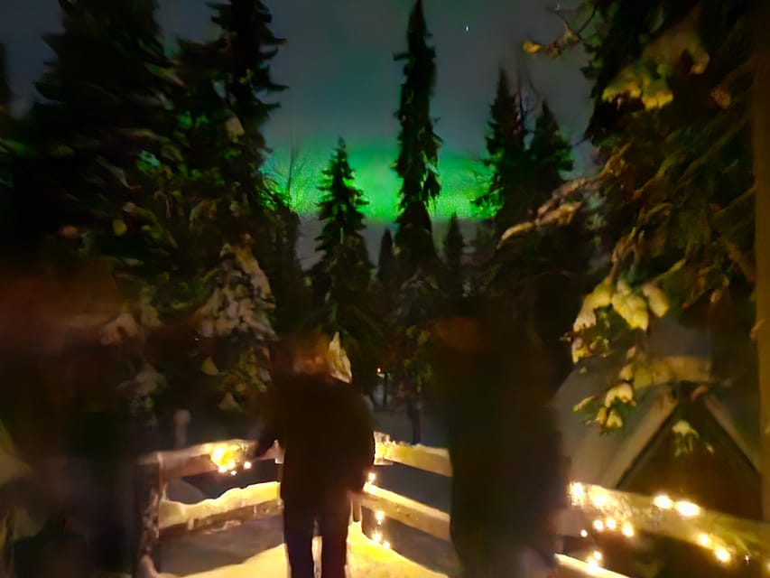 Kemi-Tornio: Starguaranteed Northern Lights Auroras - What guides add to the night