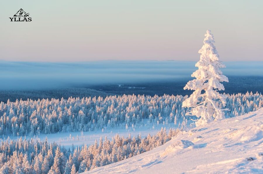 King of Ylläs: Snowmobiling to the Hill - Heading up from Ylläsjärvi