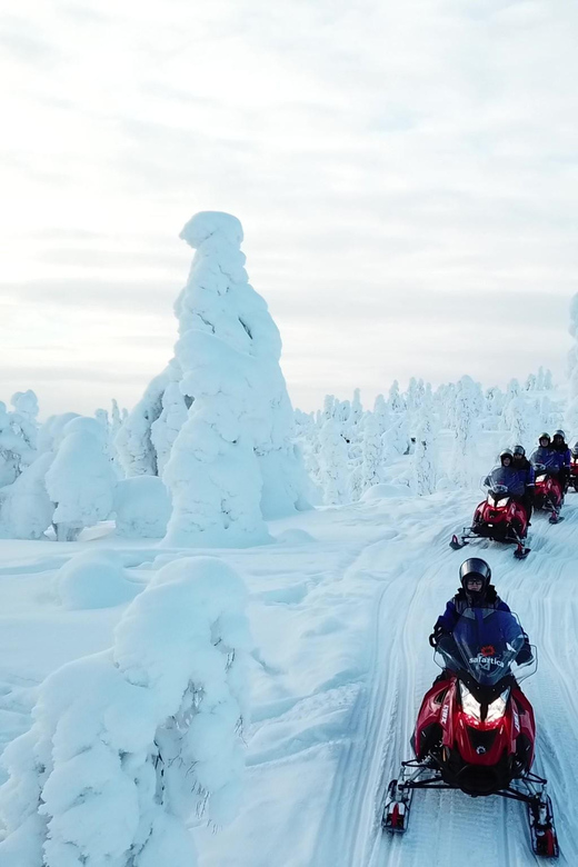 King of Ylläs: Snowmobiling to the Hill - Booking details that can affect your day