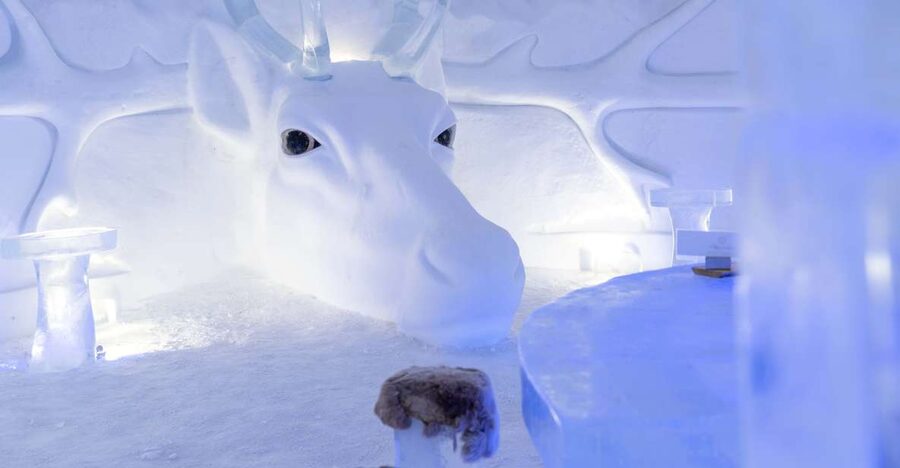 Kirkenes: Snowhotel Entrance Ticket - Reindeer first, huskies next