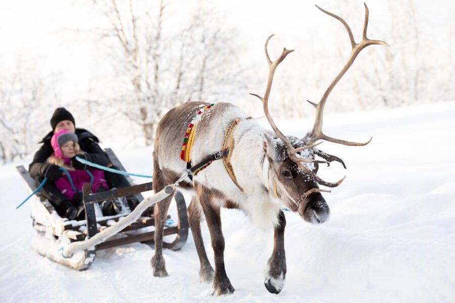 KIRUNA: Sami Reindeer Experience - Key points to know before booking