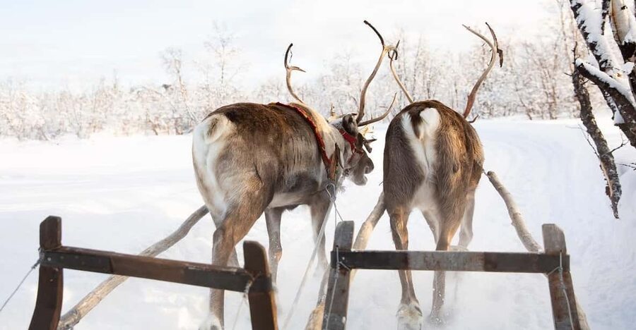 KIRUNA: Sami Reindeer Experience - Practical planning for the day