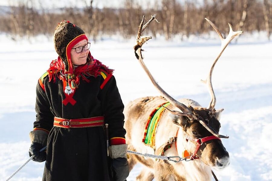 KIRUNA: Sami Reindeer Experience - From Kiruna to the reindeer corral in Rávttas