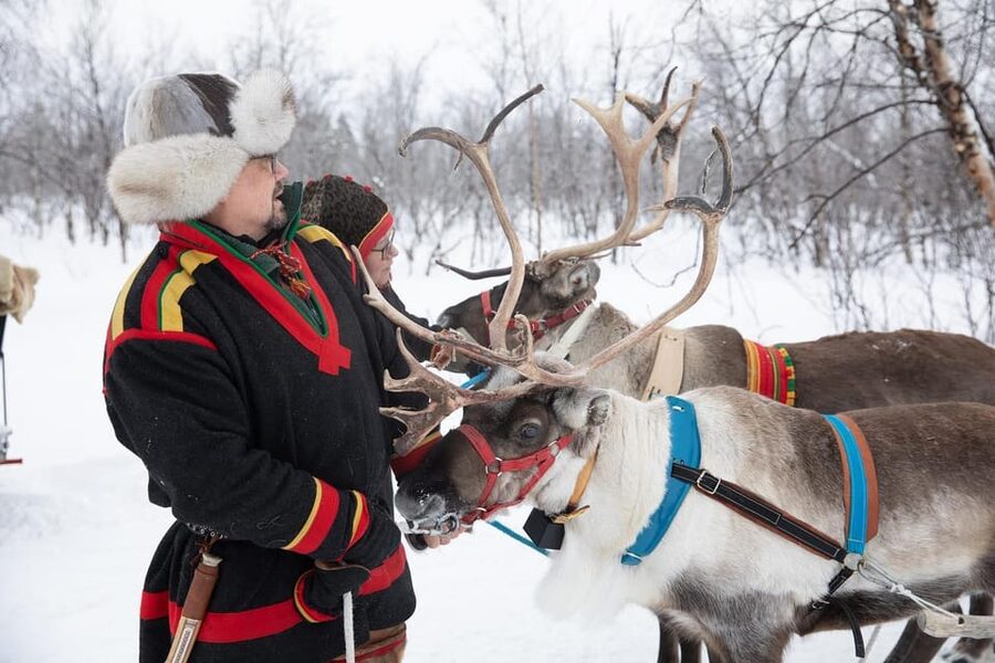 KIRUNA: Sami Reindeer Experience - Taking the reins on a short reindeer sled ride