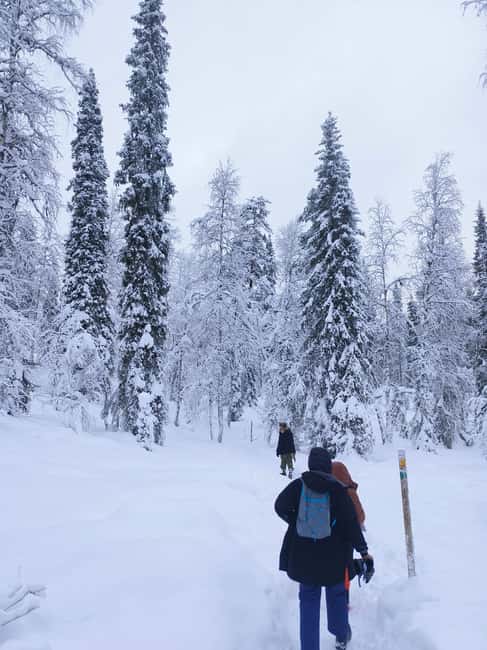 Korouoma Canyon Frozen Waterfalls Hike & Private Teepee BBQ - Key points before you book