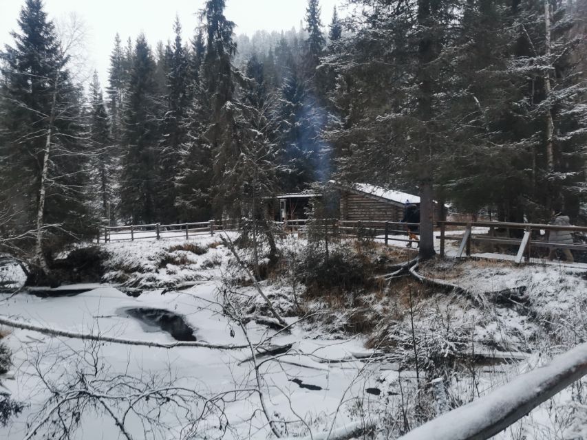 Korouoma Canyon Frozen Waterfalls Hike & Private Teepee BBQ - Why Korouoma’s frozen waterfalls are worth the drive