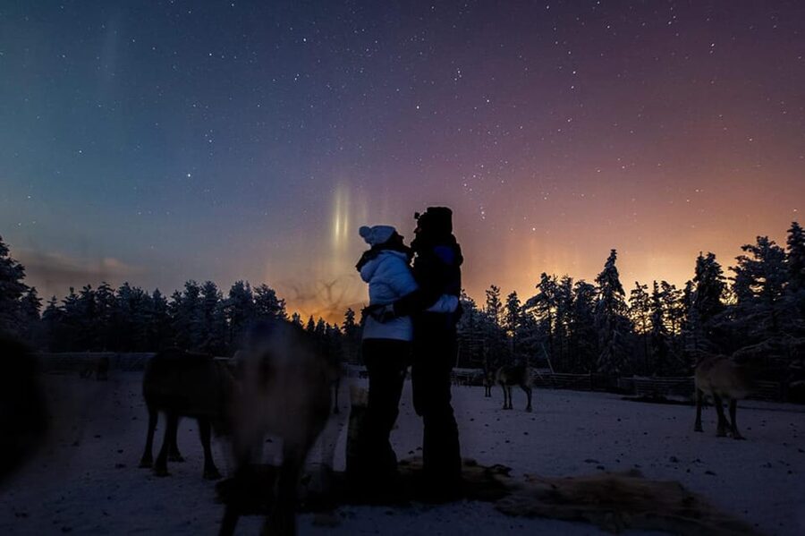 Kuusamo: Reindeer Farm Visit - Meeting the reindeer at the ancient corral