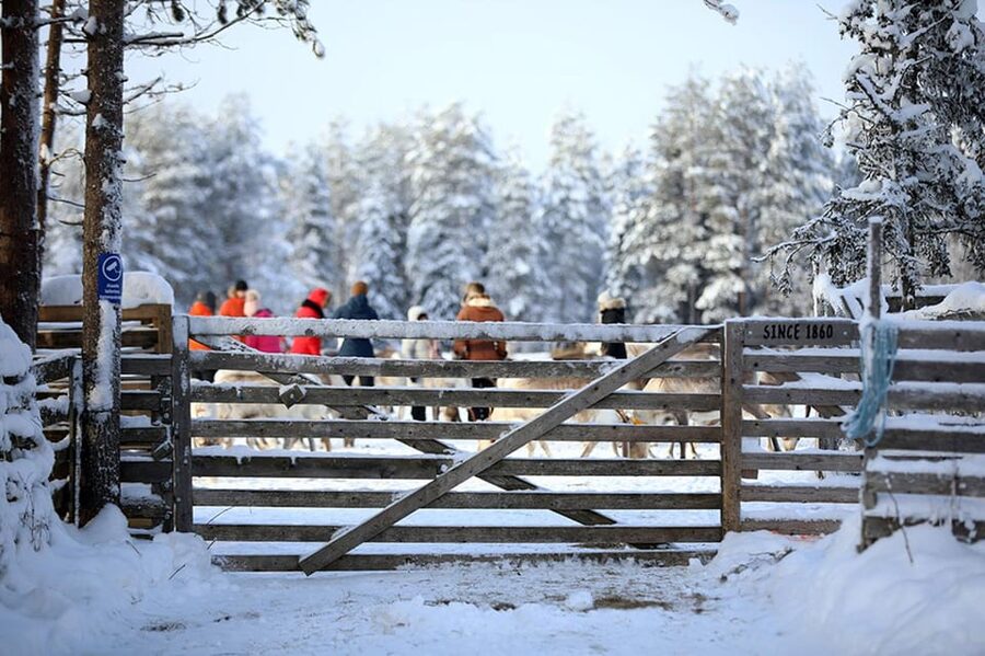 Kuusamo: Reindeer Farm Visit - Clothing, timing, and practical details