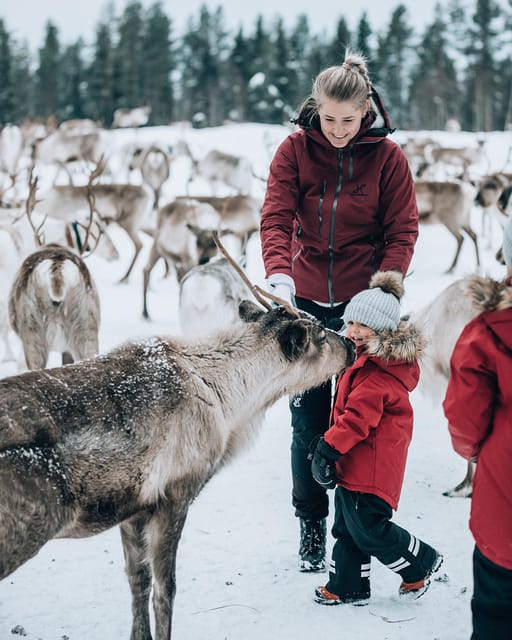 Kuusamo: Reindeer Sleigh Ride and Farm Visit - The farm shop and what to buy