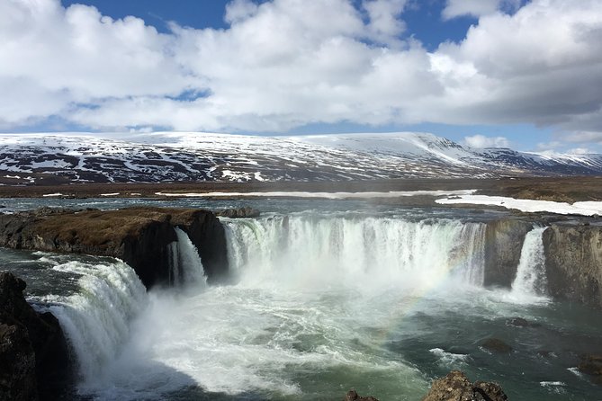 Lake Myvatn, Dettifoss and Goddafoss Waterfalls Day Tour from Akureyri - Who should book this northern Iceland day tour?
