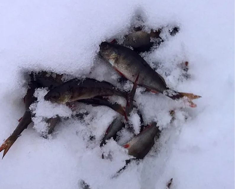Lapland: Ice Fishing, Floating & BBQ Snow Adventure - Winter clothing and what to wear