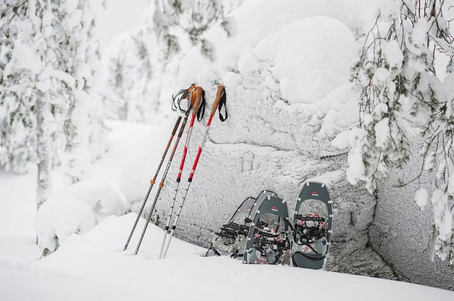 Lapland: Ice Fishing, Floating & BBQ Snow Adventure - Is $281 a fair price?