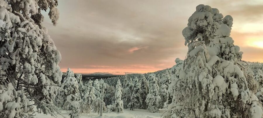 Lapland: Private Snowmobile Safari with arctic Local Guide - Why this Luosto snowmobile ride feels different