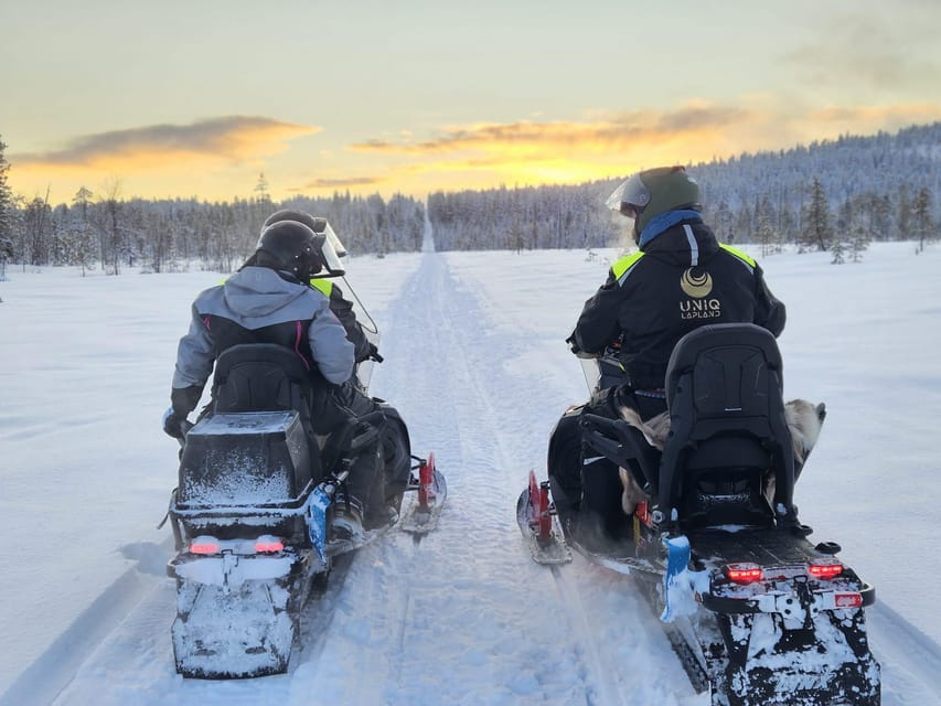 Lapland: Private Snowmobile Safari with arctic Local Guide - What the $418 group price means