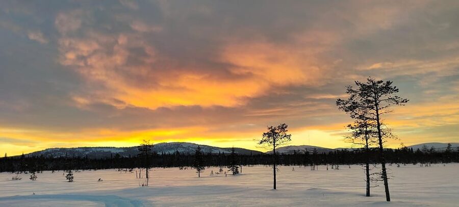 Lapland: Private Snowmobile Safari with arctic Local Guide - Pickup in Luosto and the Pyhä-Luosto area